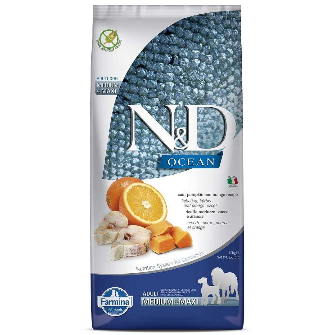 Pumpkin Lamb & Blueberry Puppy Dry Dog Food J12073