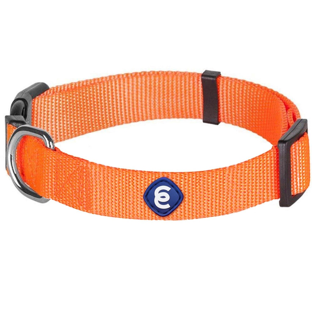 Classic Dog Collar W9341