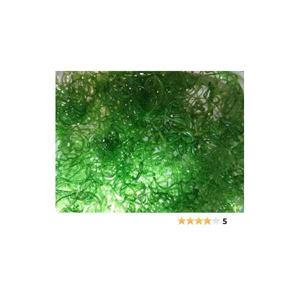 Chaeto R798339