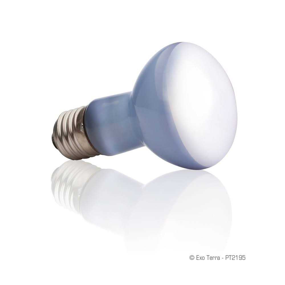 Daylight Basking Spot Lamp F4036