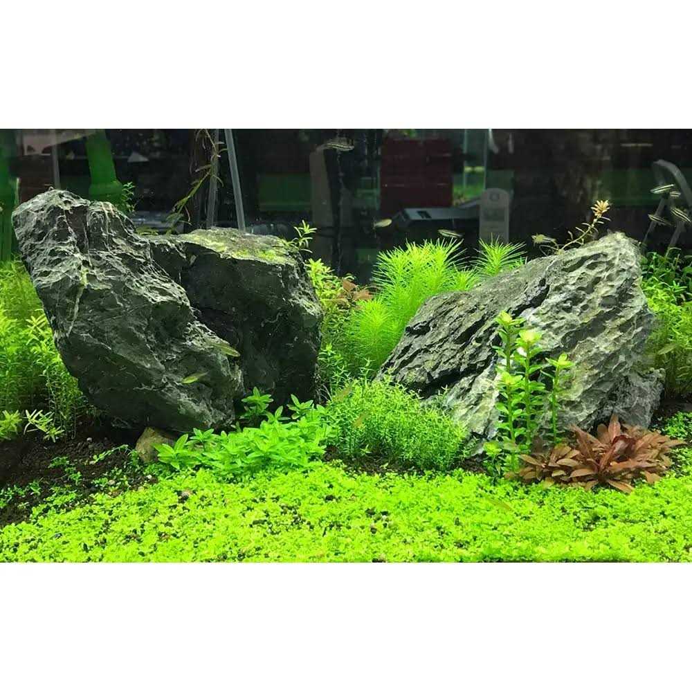 Seachem H683