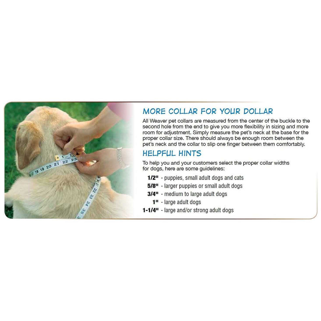 Dog Collar R6569