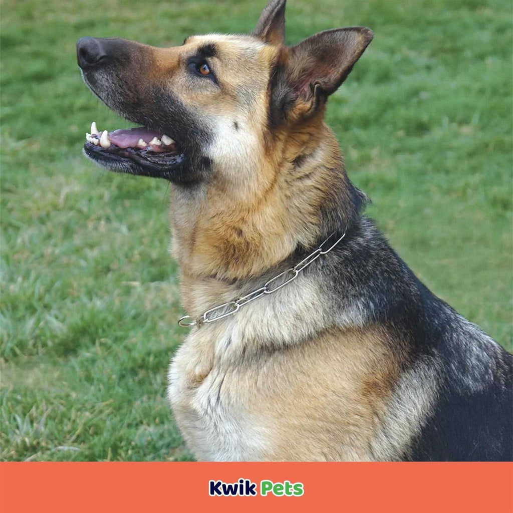Fur Saver Link Chain Training Dog Collar E188