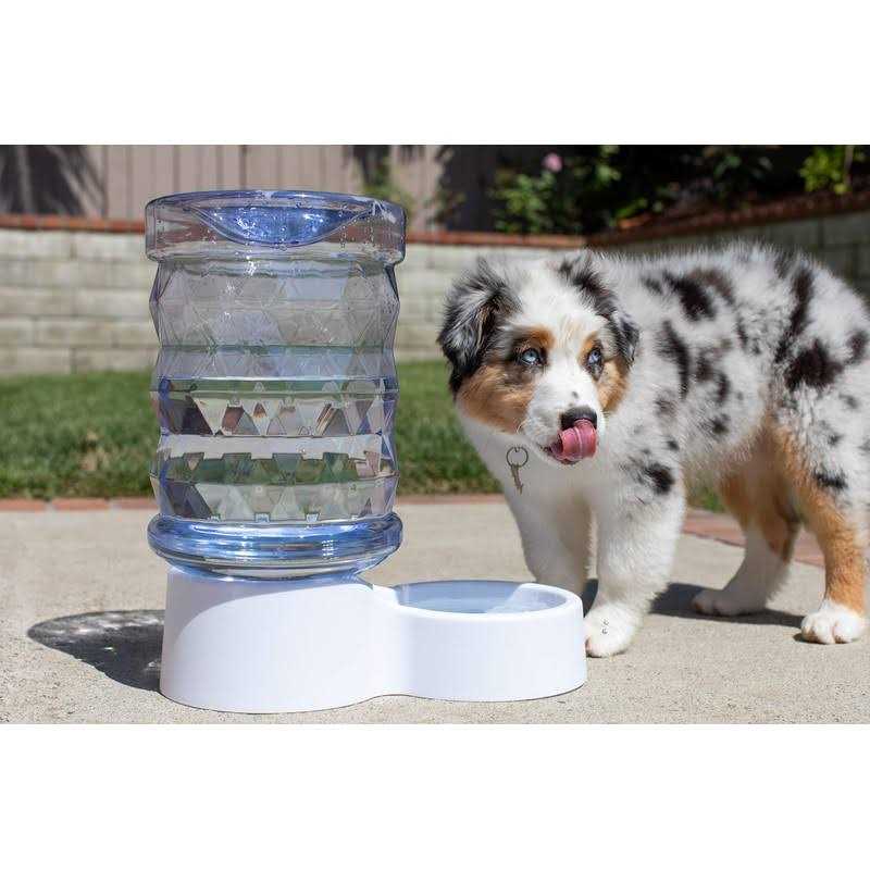 2.5 Gallon Pet Water Dispenser N7142