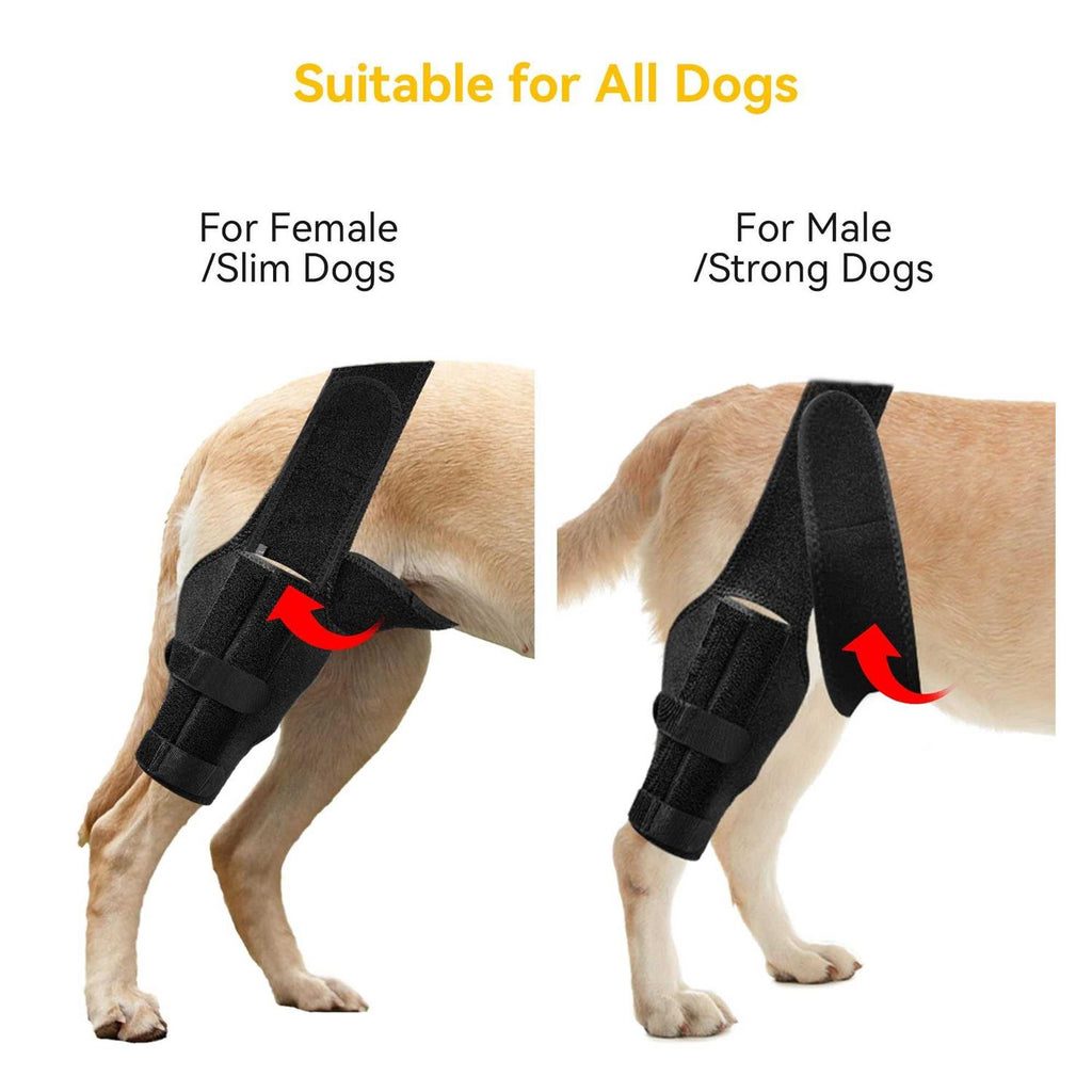 Dog Knee Brace with Cruciate Ligament X569081