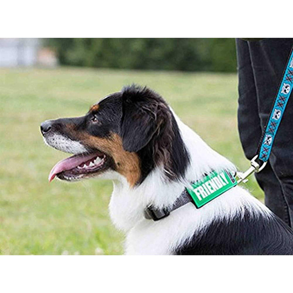 Dog Collar and Leash J811
