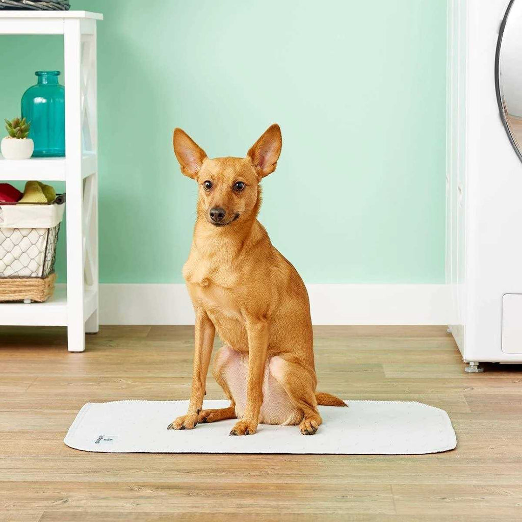 Washable Dog Pee Pads T948