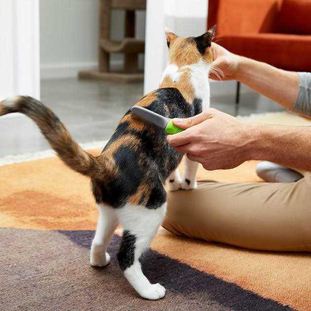 Flea Comb for Cats & Dogs O464
