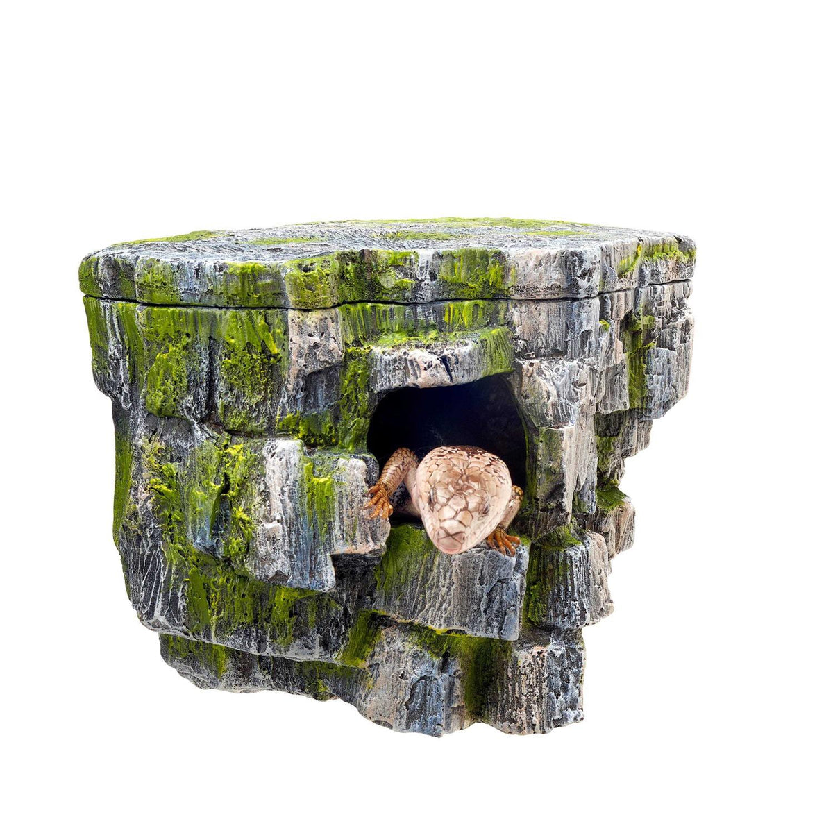 Vertical Rock Cave U224
