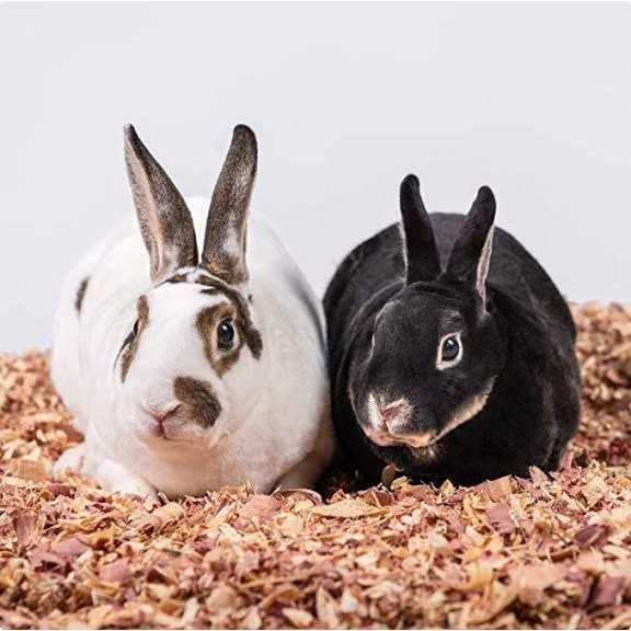 Kiln Dried Red Cedar Bedding Y406400