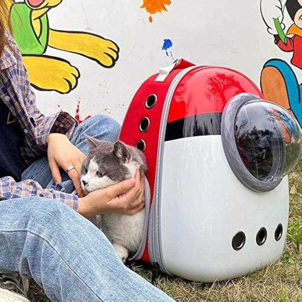 Portable Bubble Pet Carrier Backpack N17436