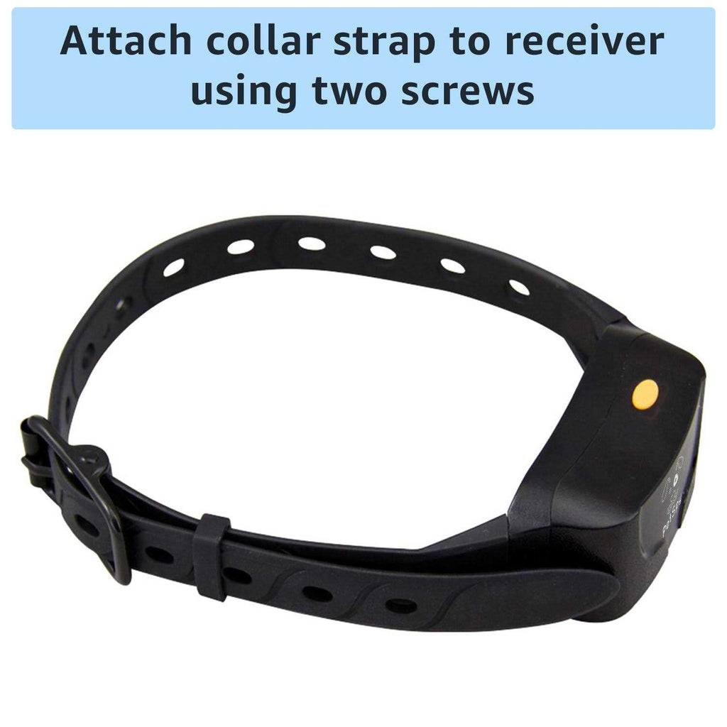 Dog Training Collar Strap Q562482