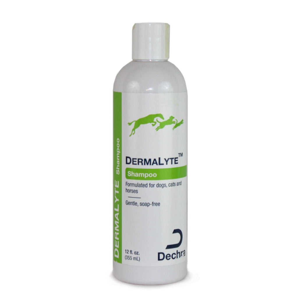 Shampoo X474399