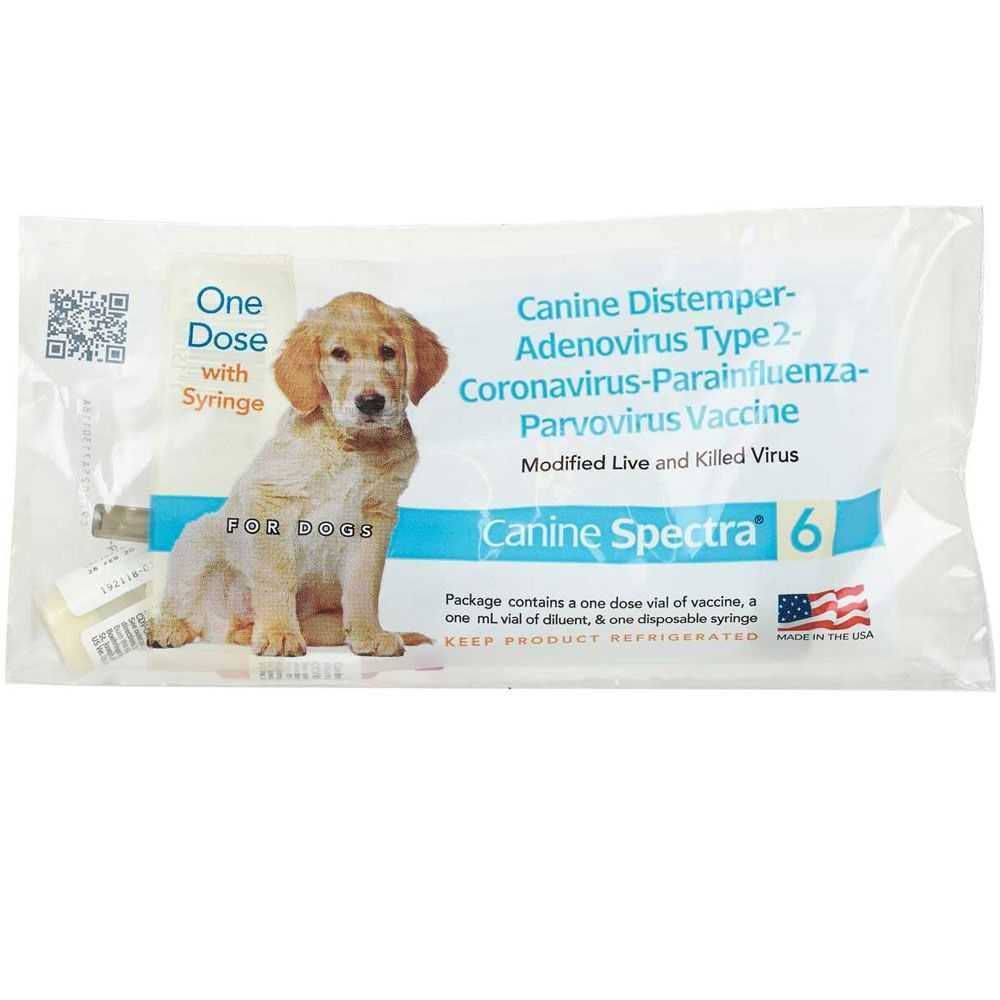 Dog Vaccine P333303