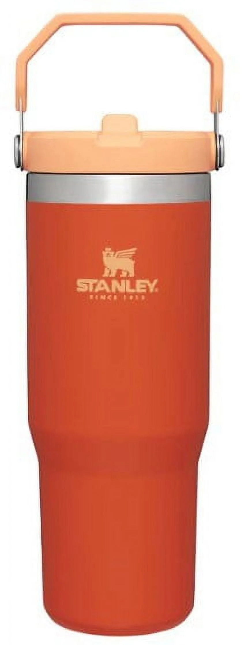 20oz Flip Straw Tumbler J204690
