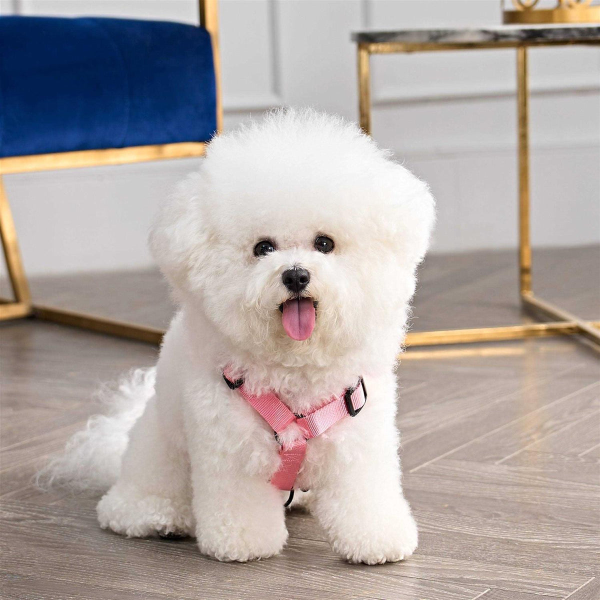 Velour Pet Harness and Leash Set U61042