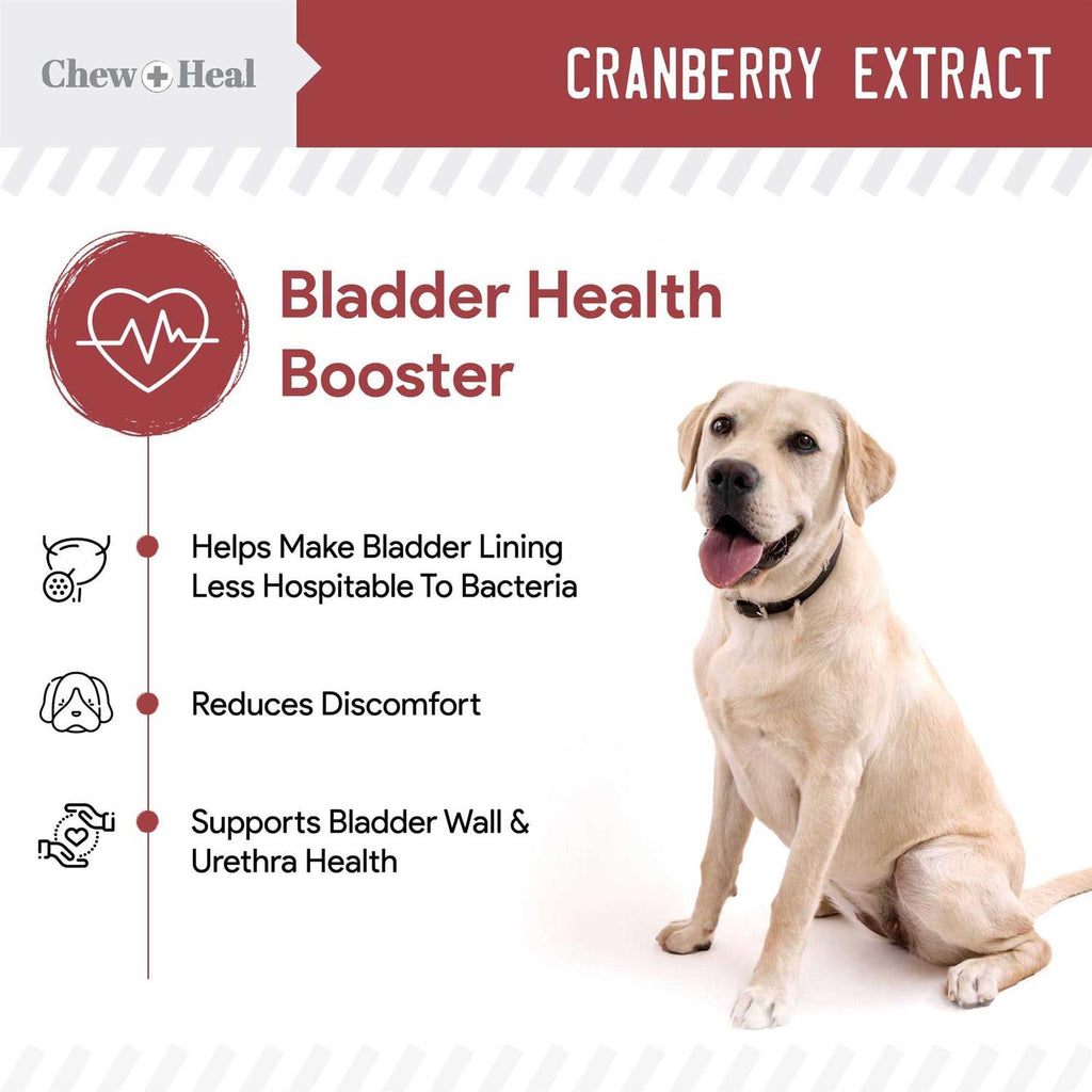 Cranberry Chews for Dogs G934576