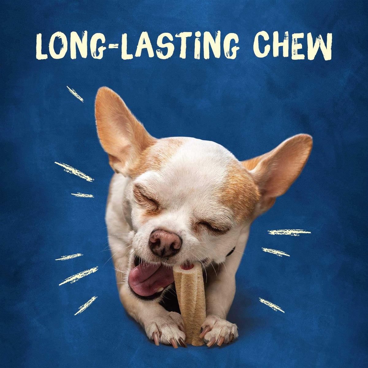 Tiny Dog Treats L484707