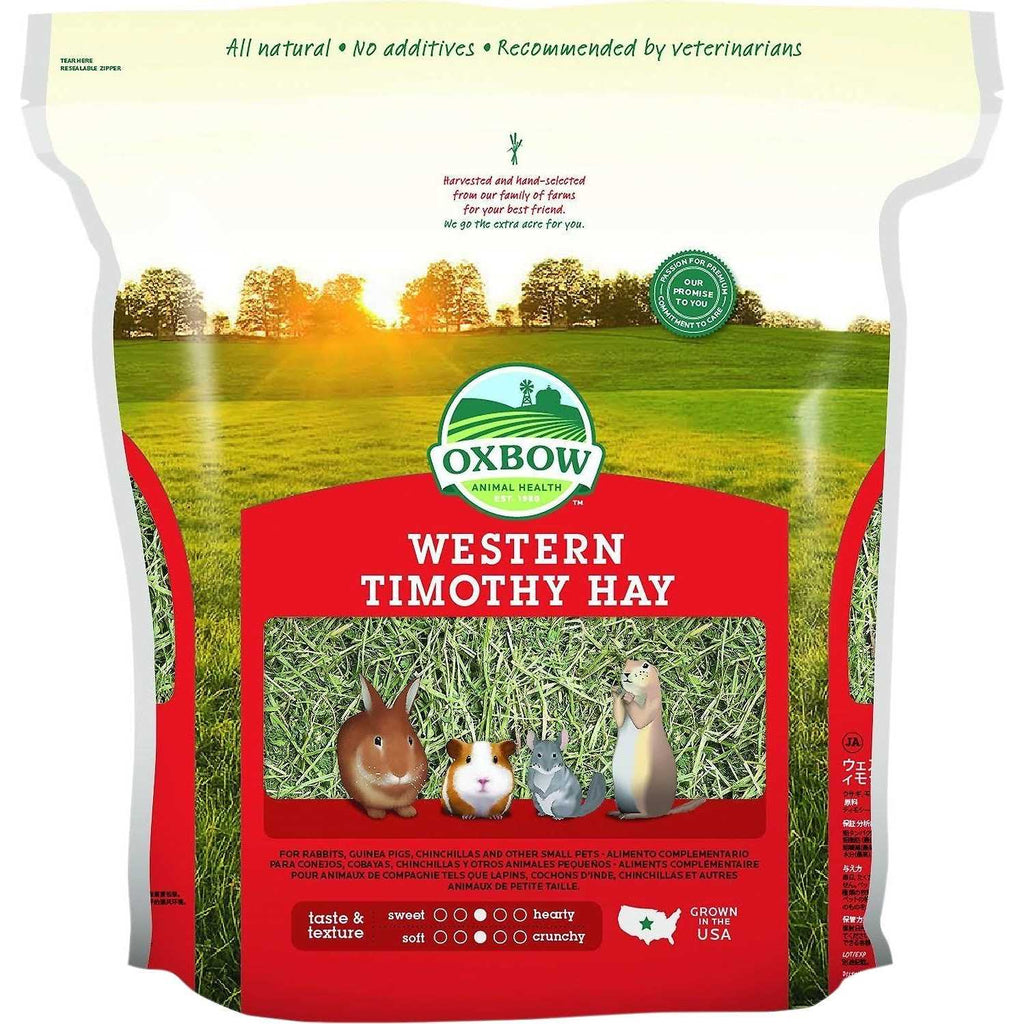 Western Timothy Hay X225249
