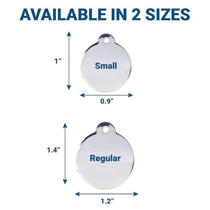 Stainless Steel Personalized Dog & Cat ID Tag R986053