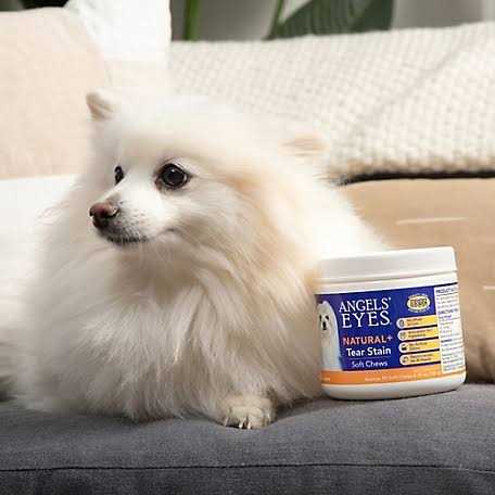 Natural Soft Chews for Dogs J645