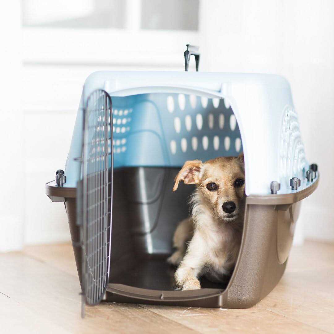 Top Load Kennel V71085