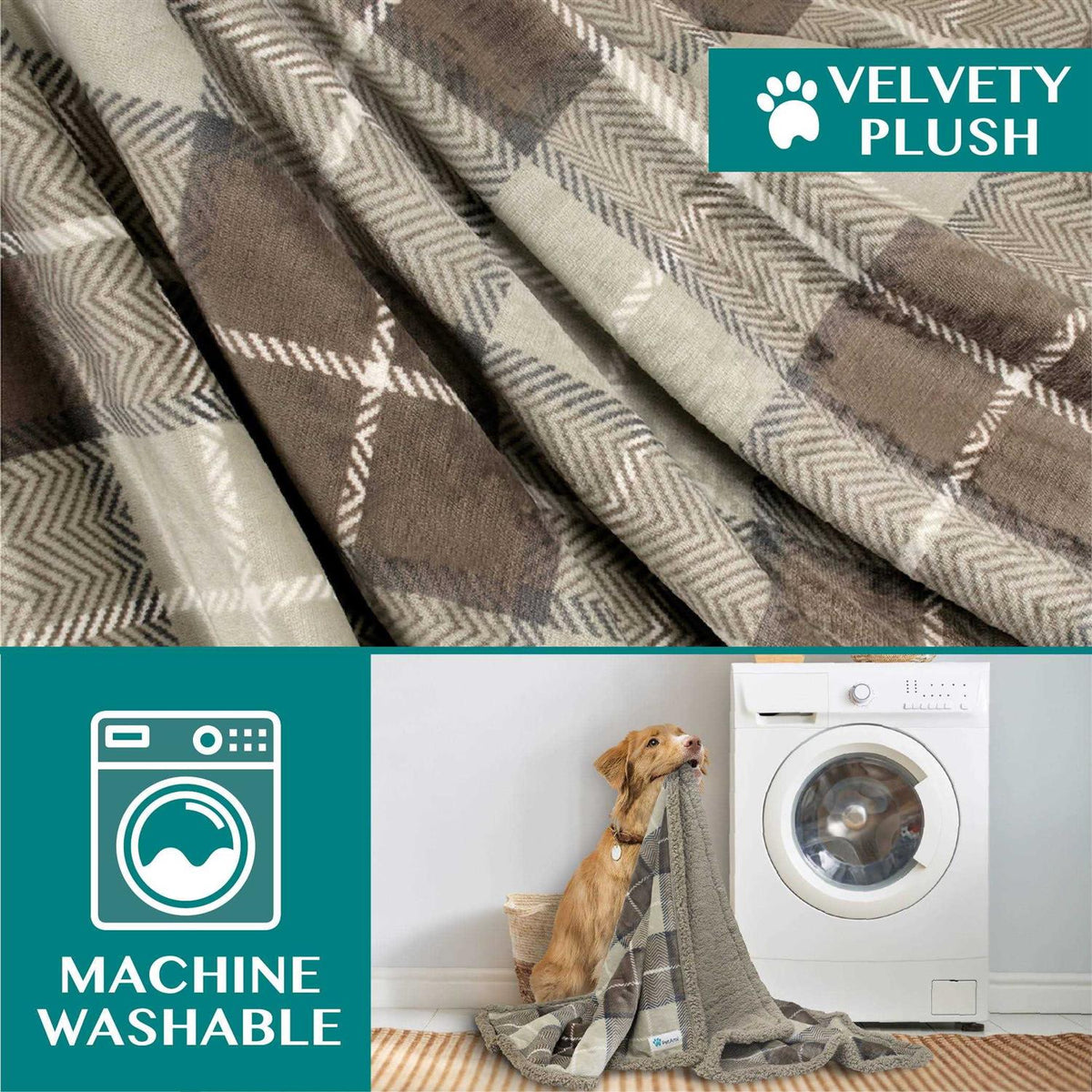 Dog Blanket B779