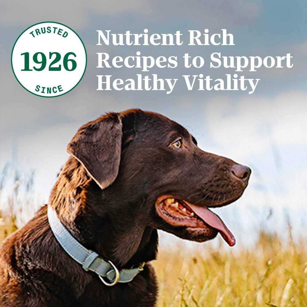 Adult Beef Rice Dry Dog Food W142451
