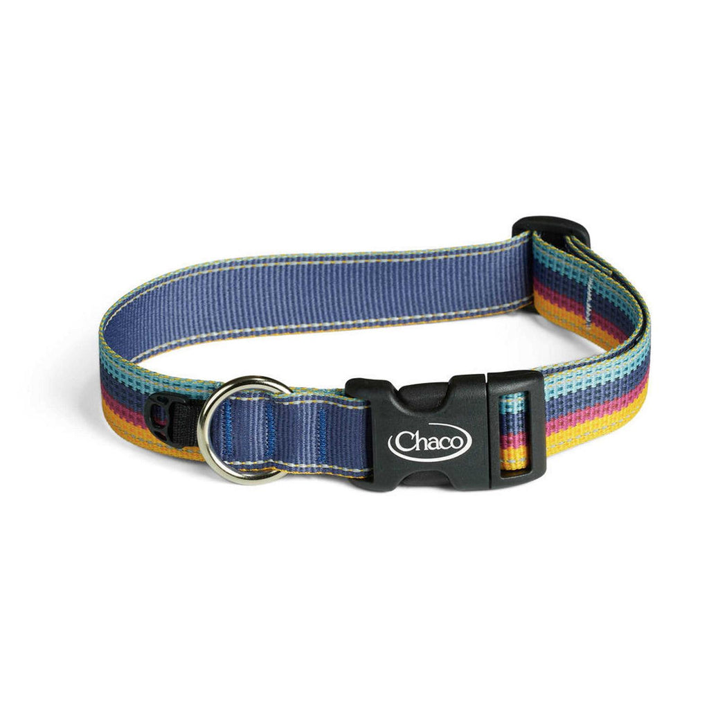 Dog Collar D943