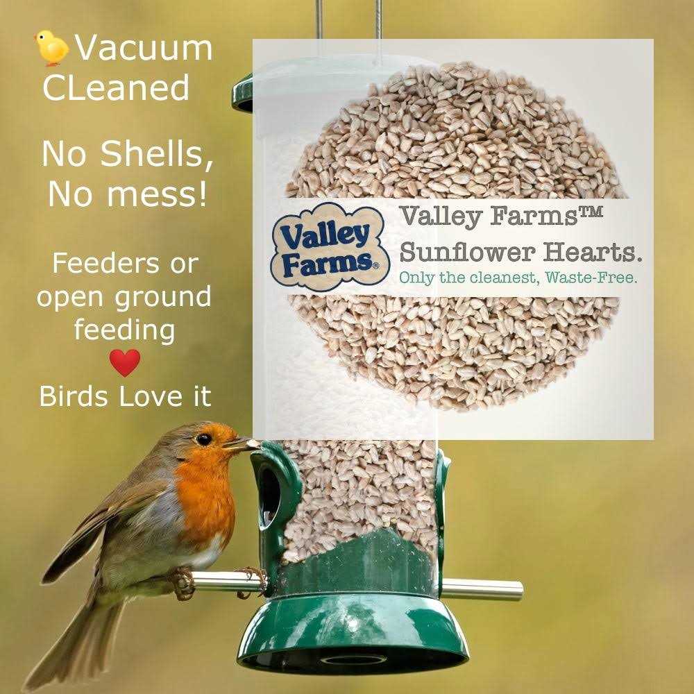 Sunflower Hearts Wild Bird Food U280008