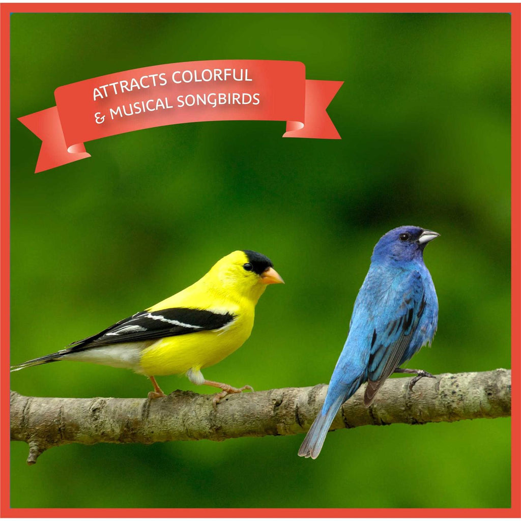 Songbird Blend Bird Seed P145
