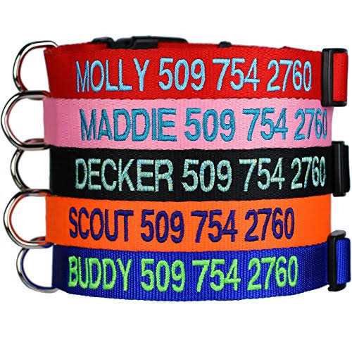 Personalized Dog Collar J99059