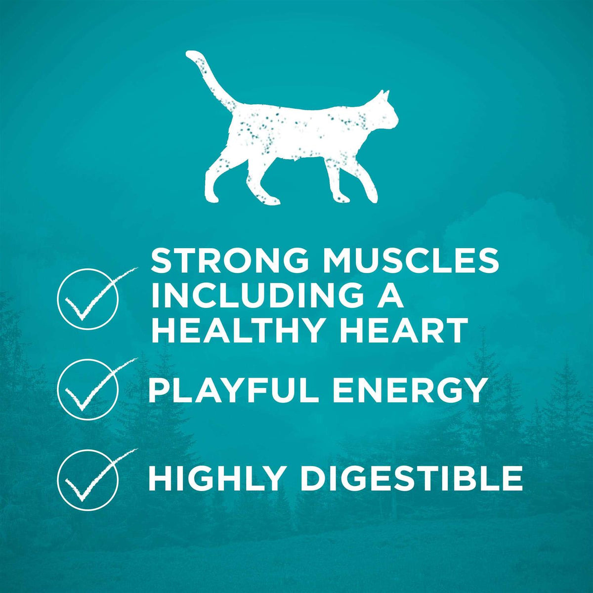 High Protein Grain Free Dry Cat Food F142565