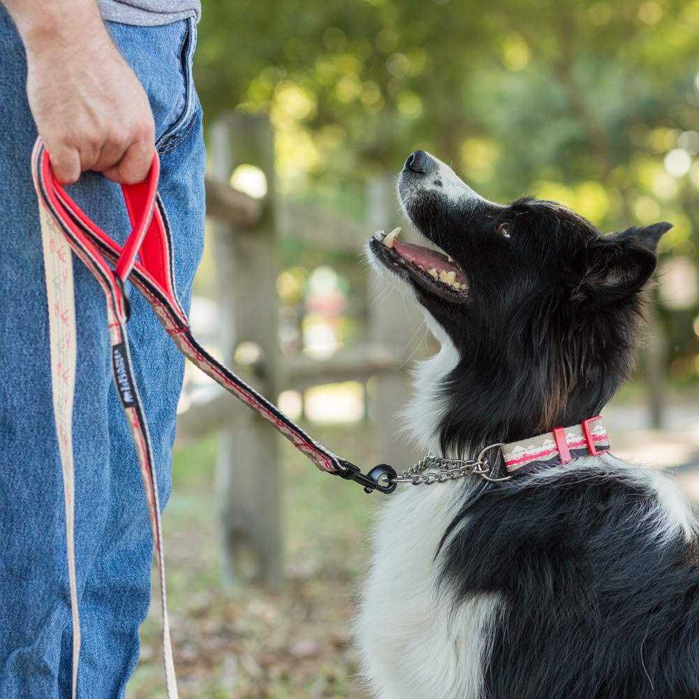 6ft Dog Leash Padded Handle U75811