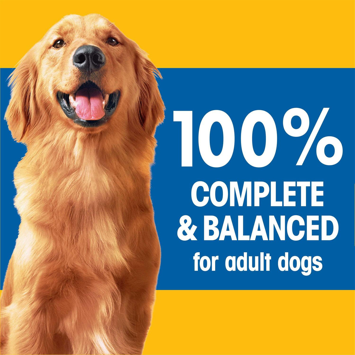 Adult Dry Dog Food V8700