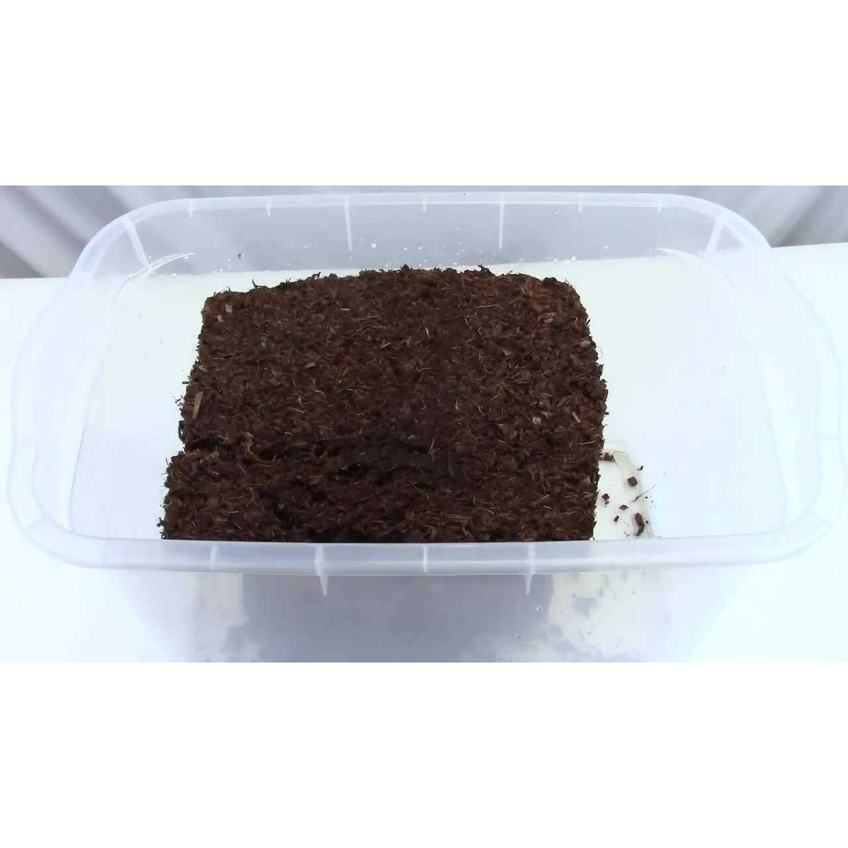 Coco Coir Reptile Substrate Coco Chips P42301