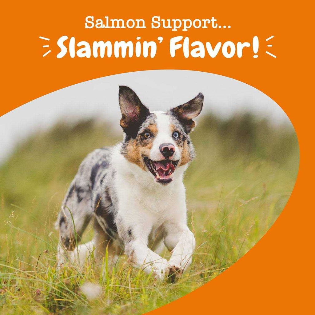 Salmon Bites for Dogs T6741