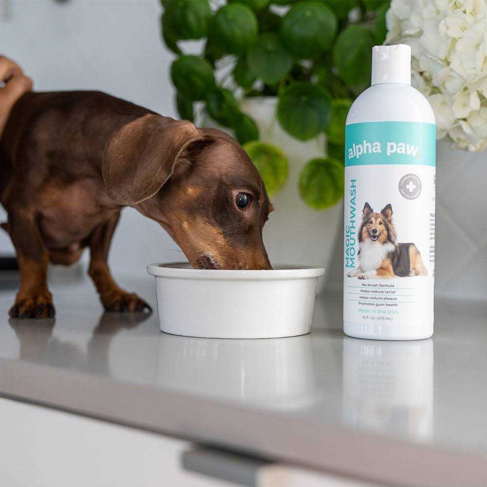 Dog Mouthwash I609