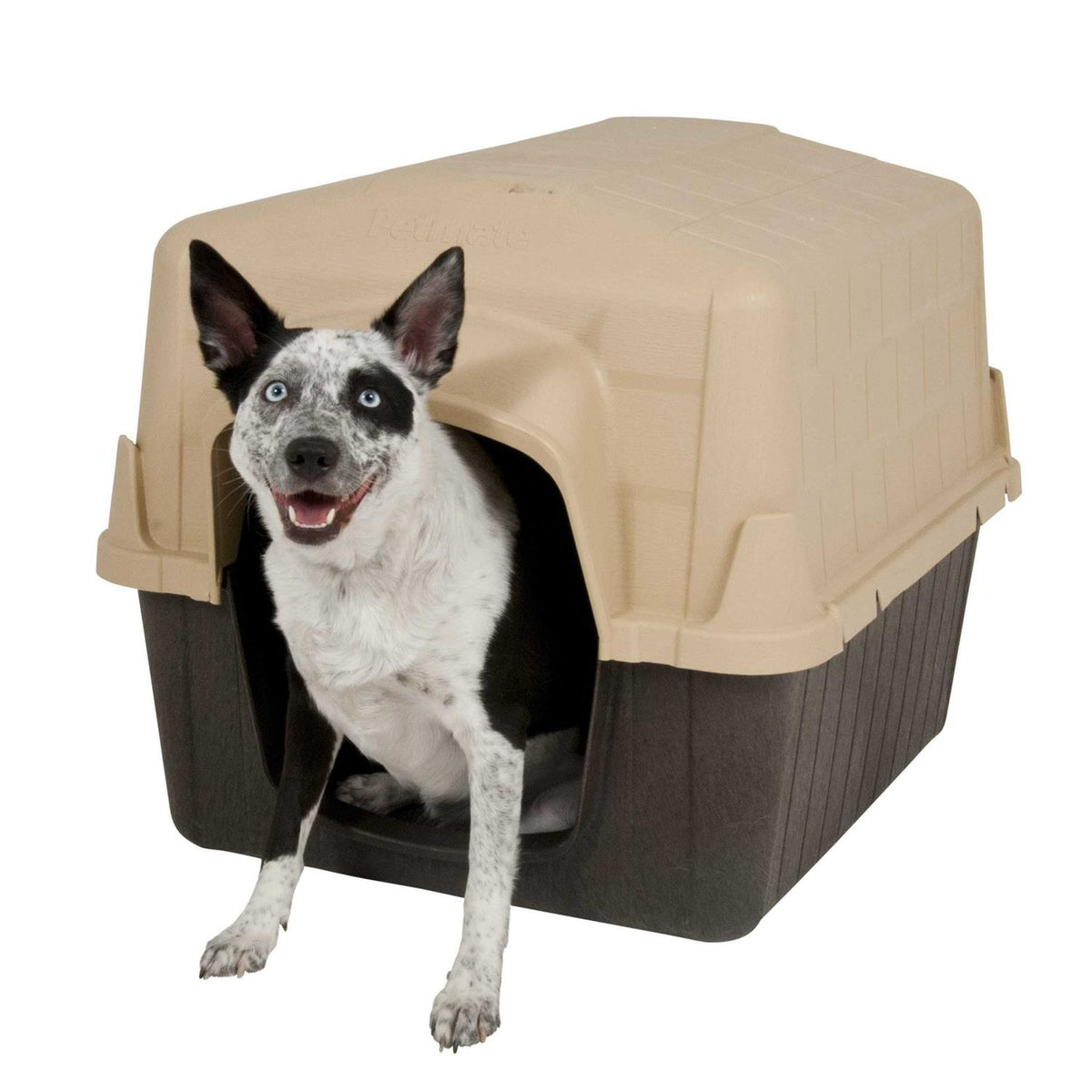 Dog House O87938