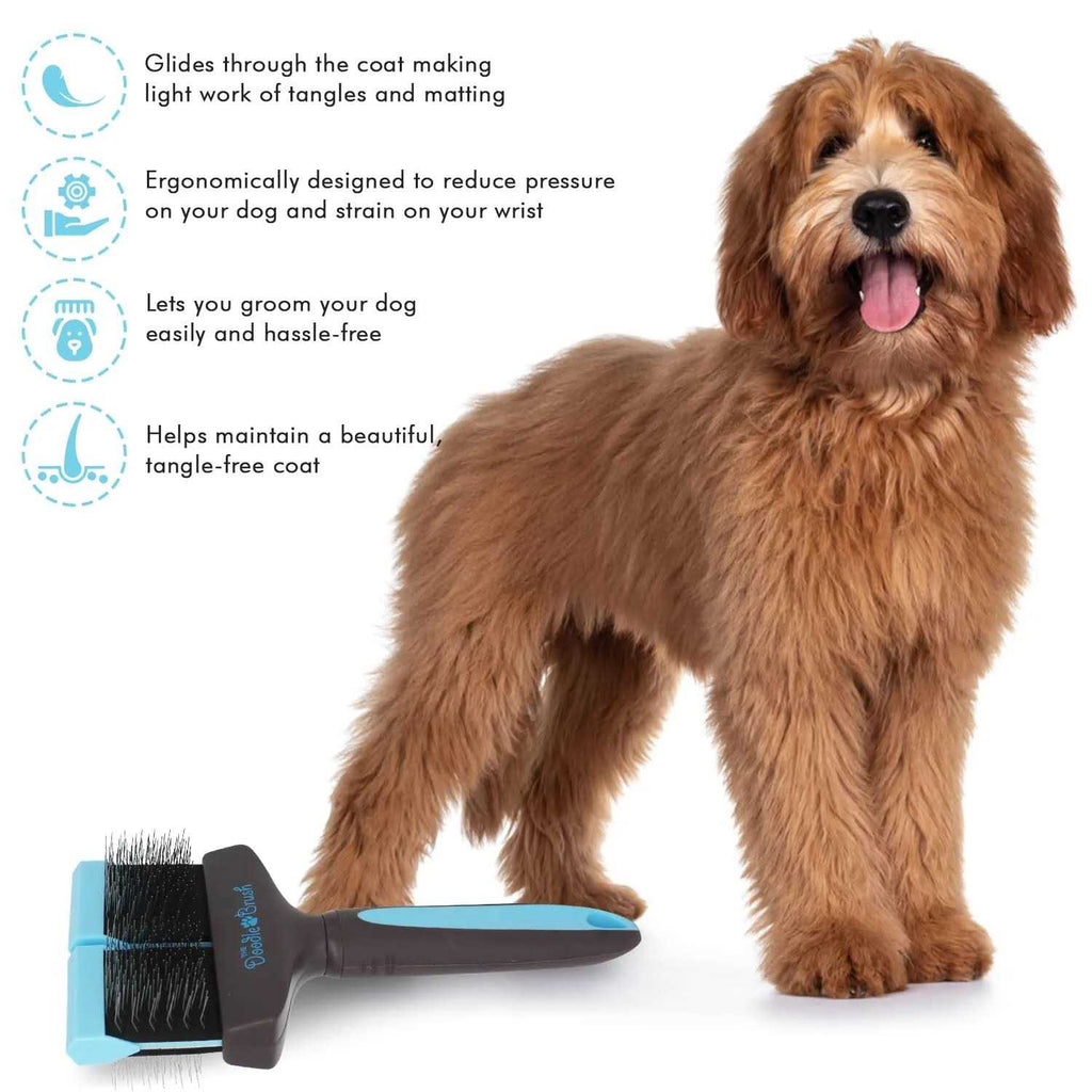 Doodle Brush U562220