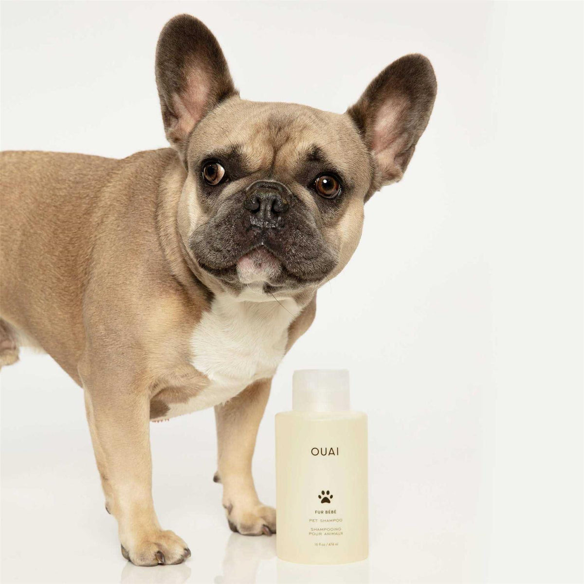 Pet Shampoo U7290