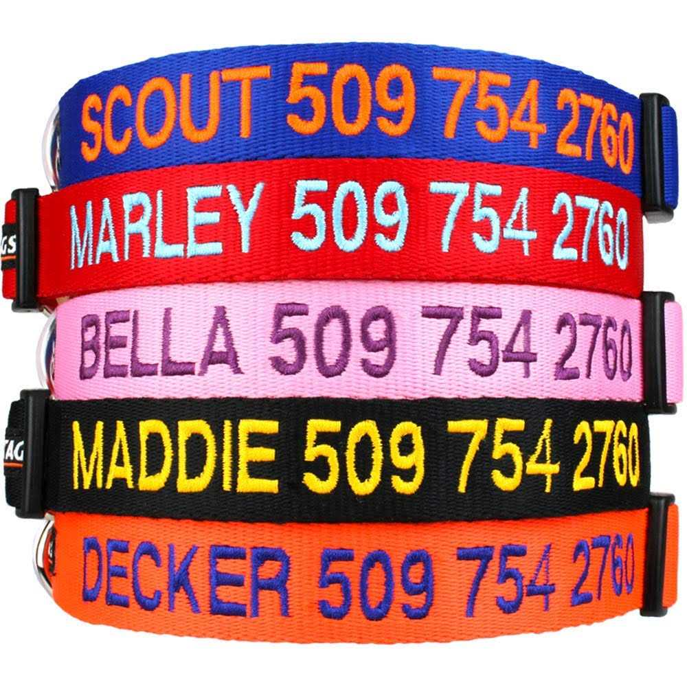 Personalized Dog Collar J99059