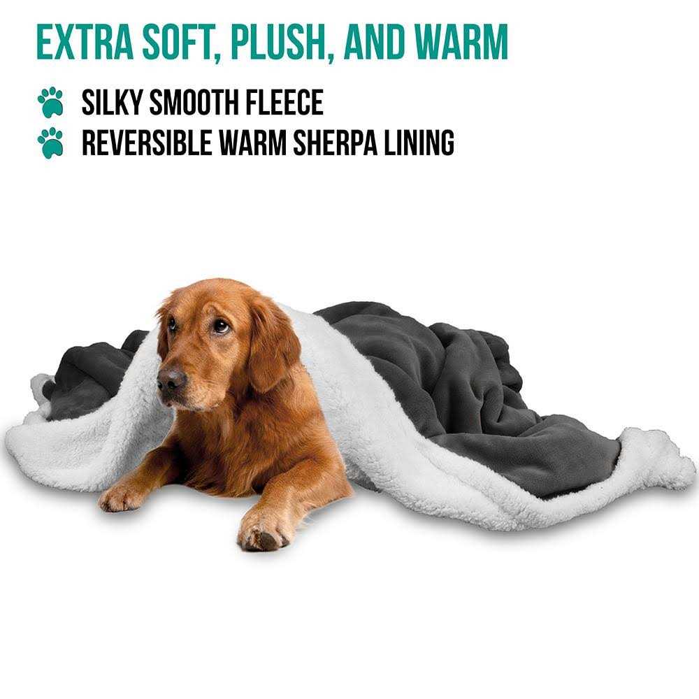 Dog Blanket B779