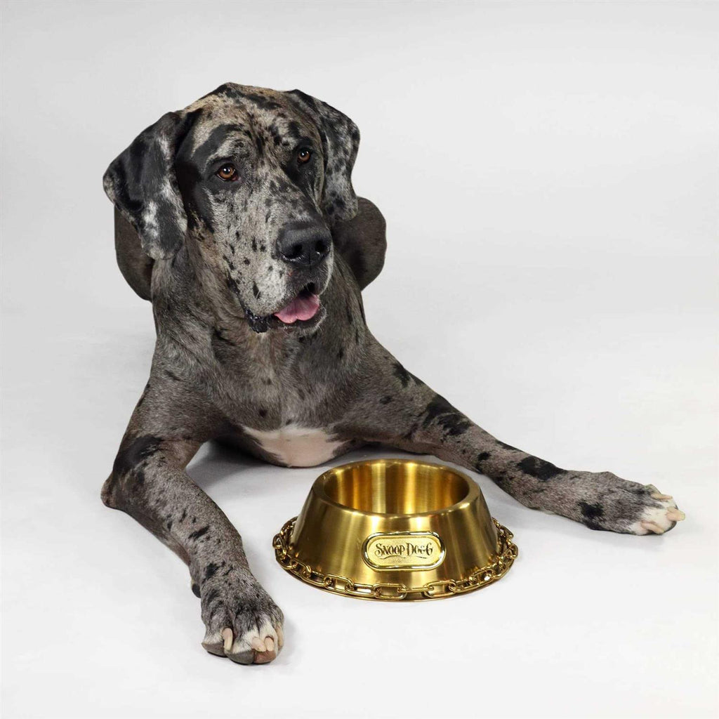 Bowl W4698
