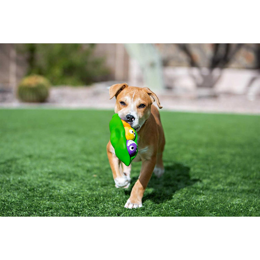Dog Toy D877429