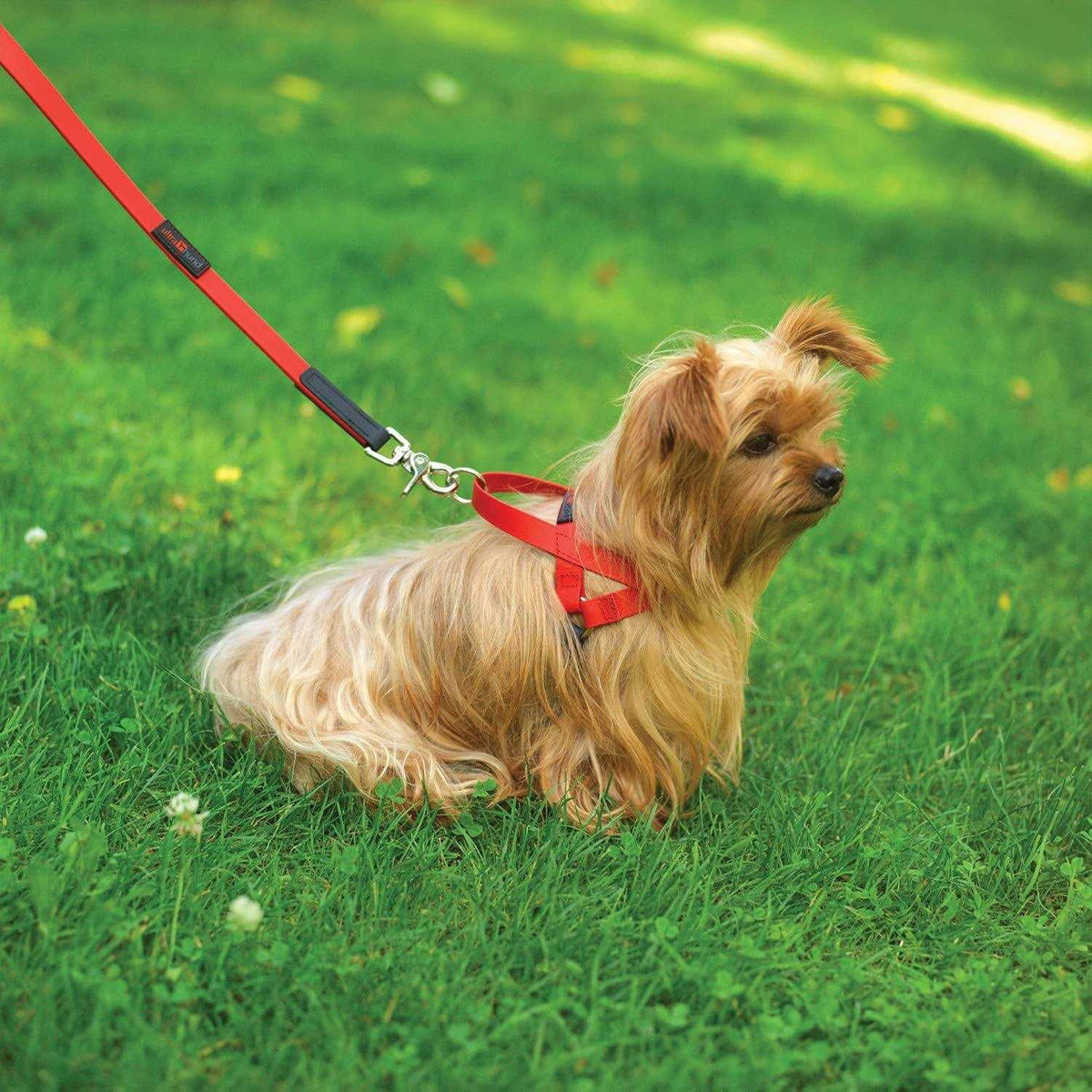 Harness J459051