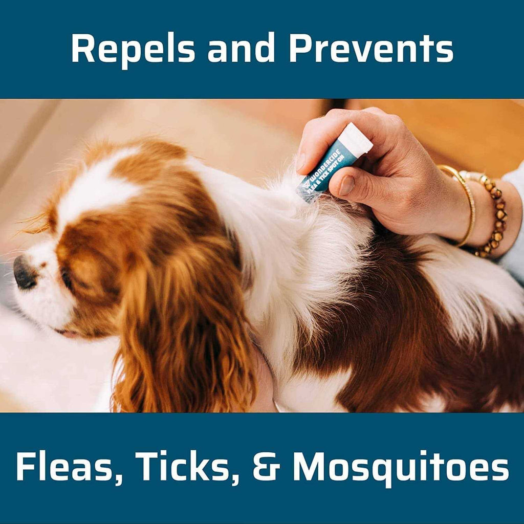 Flea & Tick Spot On for Dogs Y979515