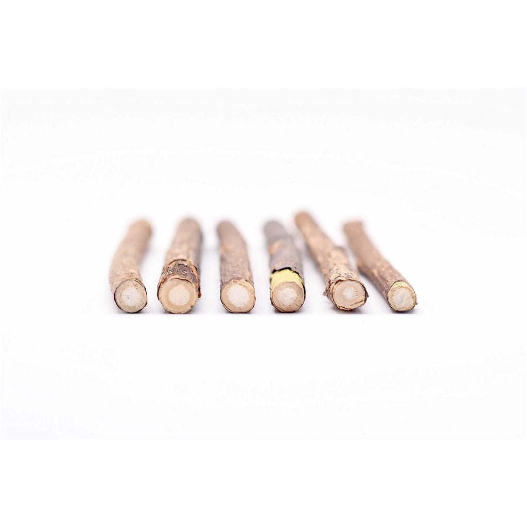 Silver Vine Stick Cat Chew Toy R999