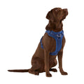 Neoprene Dog Harness L51822