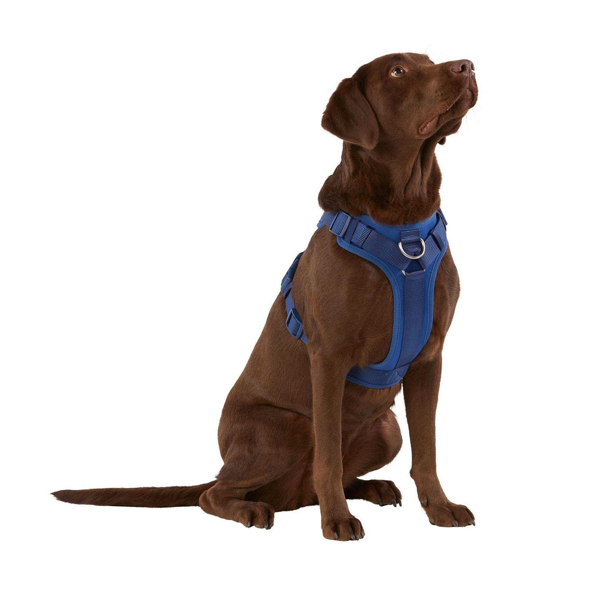 Neoprene Dog Harness L51822